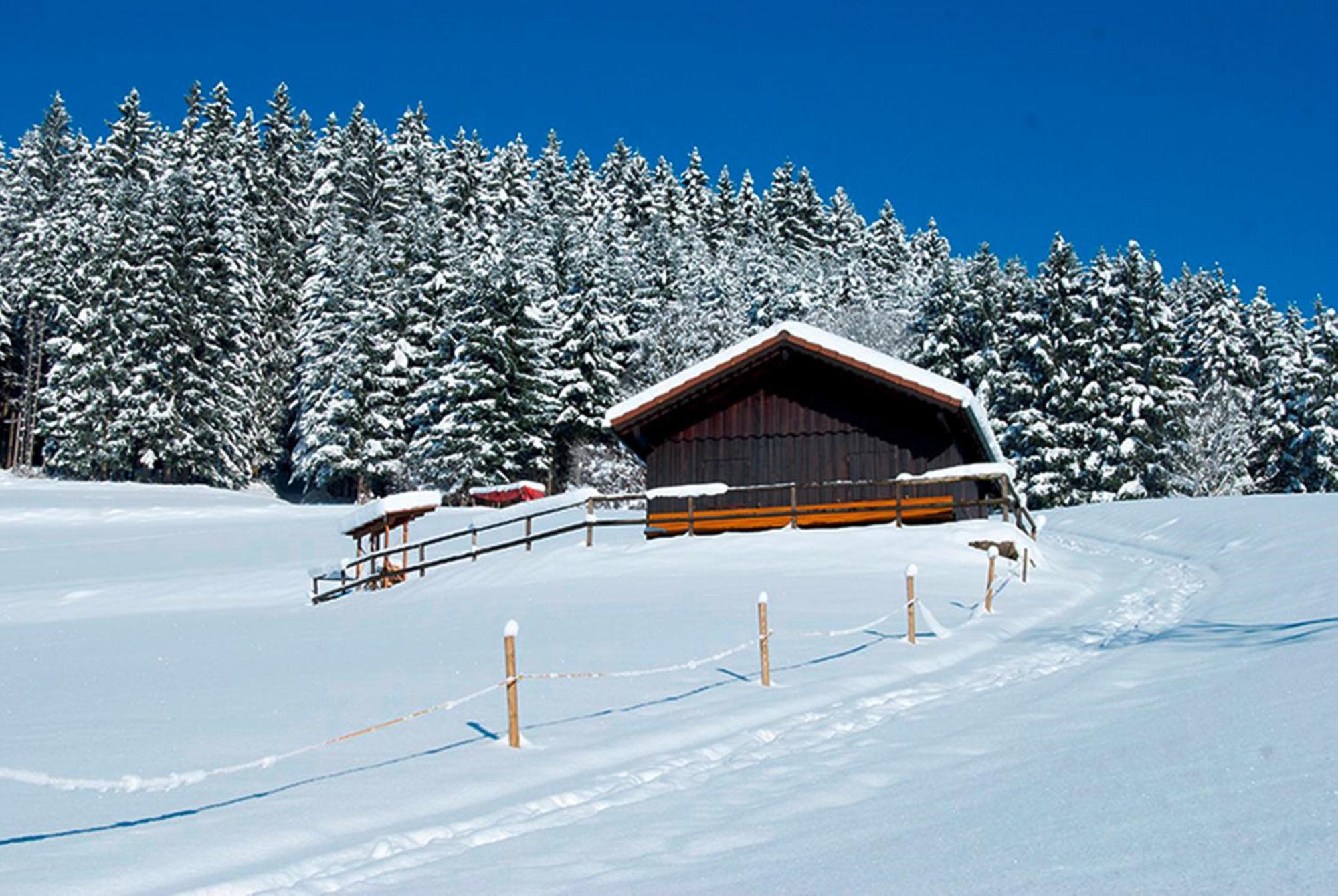 Landhaus Sackmann Baiersbronn Exterior foto